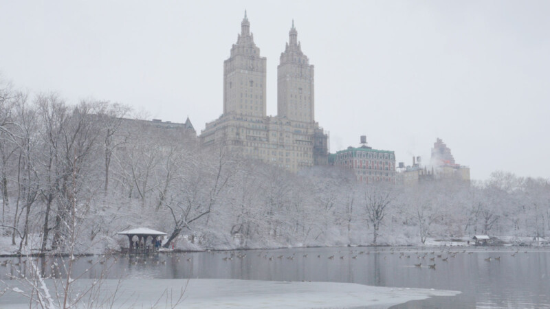A frozen over lake in Central Park in the winter.