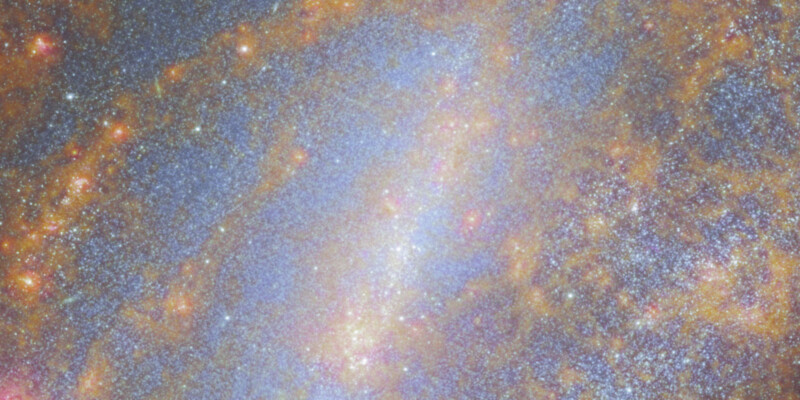 The James Webb Space Telescope captures an image of NGC 1559 as part of the PHANGS collaboration. It is the Webb Picture of the Month for February 2024. 