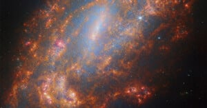 The James Webb Space Telescope captures an image of NGC 1559 as part of the PHANGS collaboration. It is the Webb Picture of the Month for February 2024.