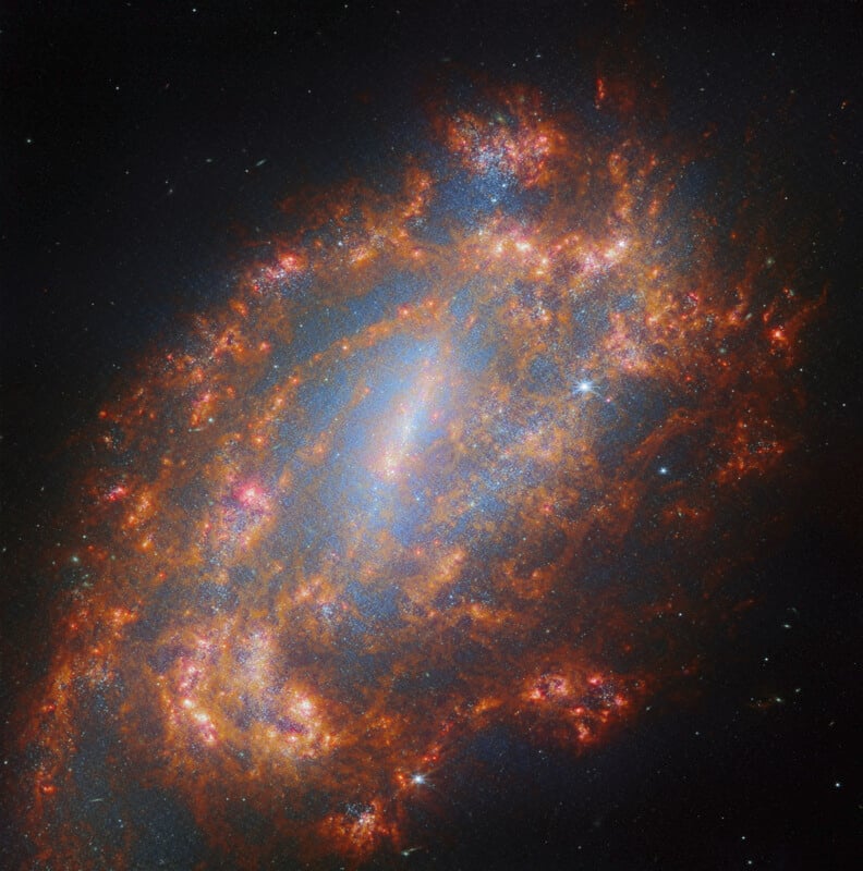 The James Webb Space Telescope captures an image of NGC 1559 as part of the PHANGS collaboration. It is the Webb Picture of the Month for February 2024. 