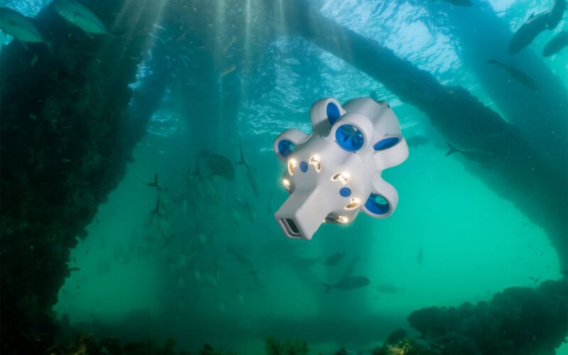 Advanced Navigation's Hydrus underwater drone in action in Australia 