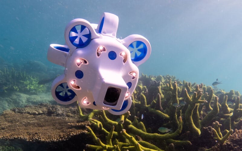 Advanced Navigation's Hydrus underwater drone in action in Australia 