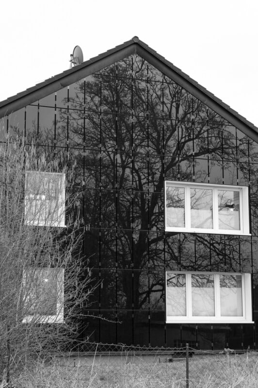 Leica SL3 black and white tree house