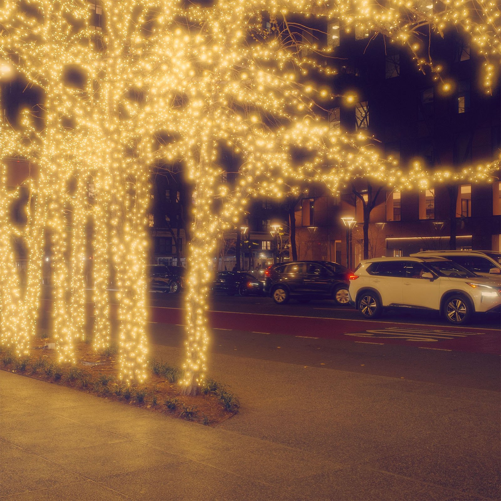 A nighttime street scene with trees wrapped in bright, twinkling fairy lights. Cars are parked along the street, with a few driving by. The warm glow of the lights creates a festive atmosphere against the darkened surroundings.