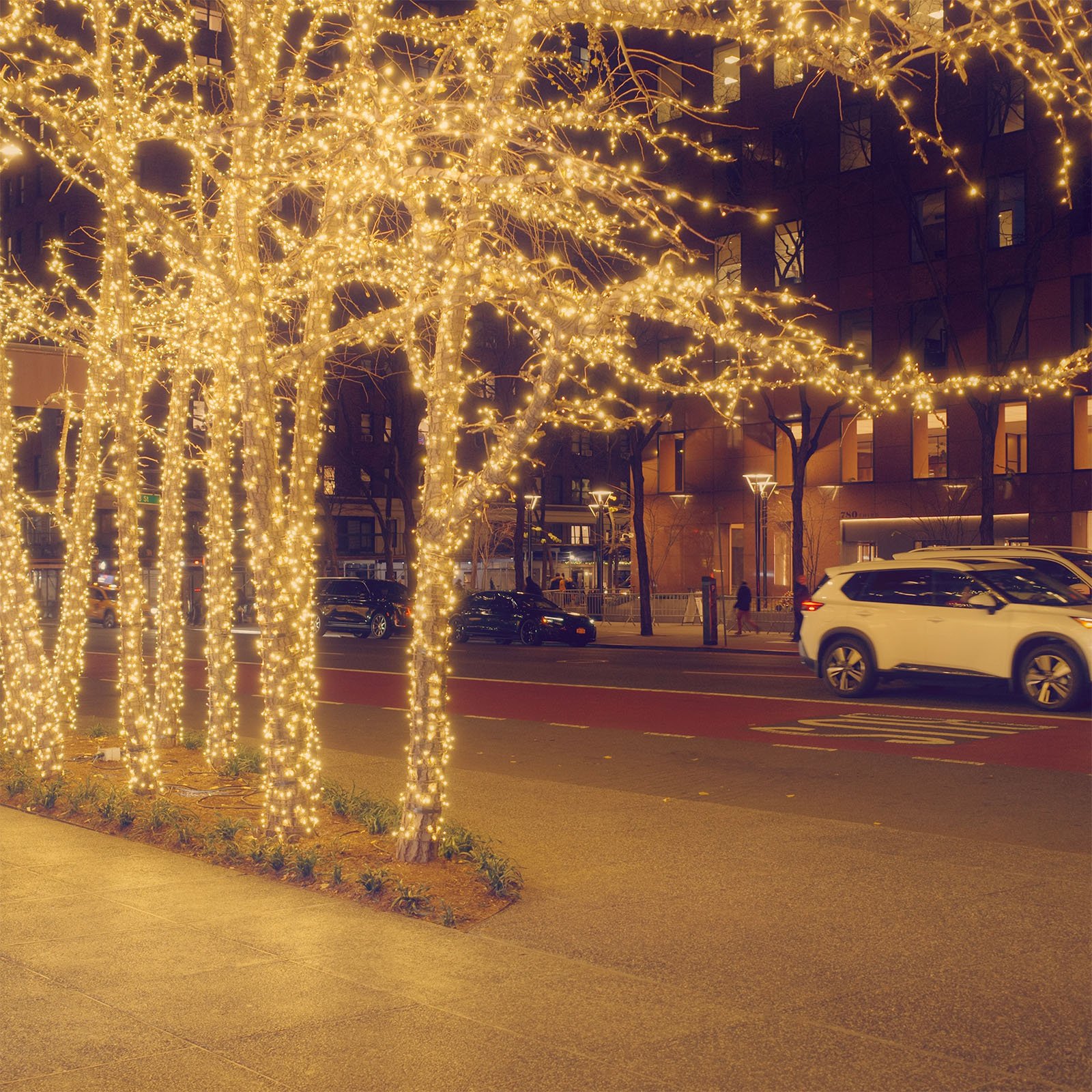 City street at night with trees wrapped in warm white string lights. Cars drive along the illuminated road, and buildings with lit windows are visible in the background. The scene has a festive and cozy atmosphere.
