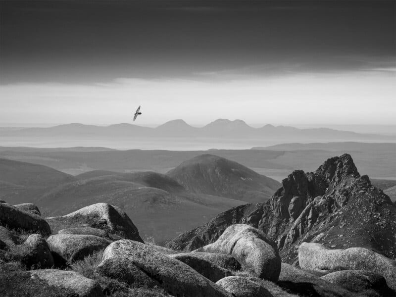 British Wildlife Photography Awards 2024, wide-angle black and white landscape image, raven flying above mountains