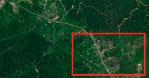 ai satellite images rainforests secret roads
