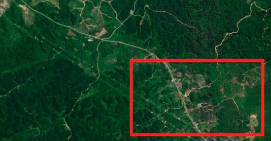 ai satellite images rainforests secret roads