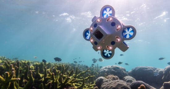 Advanced Navigation's Hydrus underwater drone in action in Australia