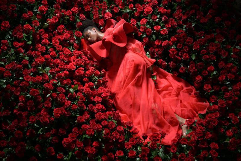 A black woman in a red dress laying down on a bed of red flowers, portrait photograph. 