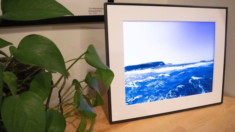 A framed photograph of an ocean with a large rock formation in the distance, displayed beside a lush potted plant, against an interior wall.