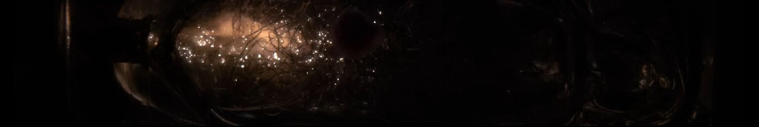 Watch Old-School Single-Use Flash Bulbs Explode in Slow-Mo | PetaPixel