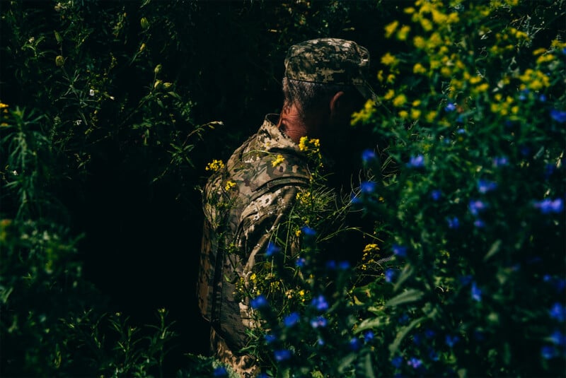 A soldier in camouflage uniform is partially hidden among dense green foliage under sunlight, highlighting the concept of stealth and blending with nature.