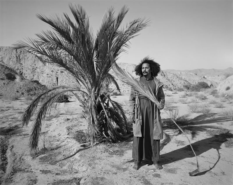 A man with long hair stands beside a palm tree in a desert landscape, holding a wooden staff, dressed in traditional robes. the background features arid hills and sparse vegetation.