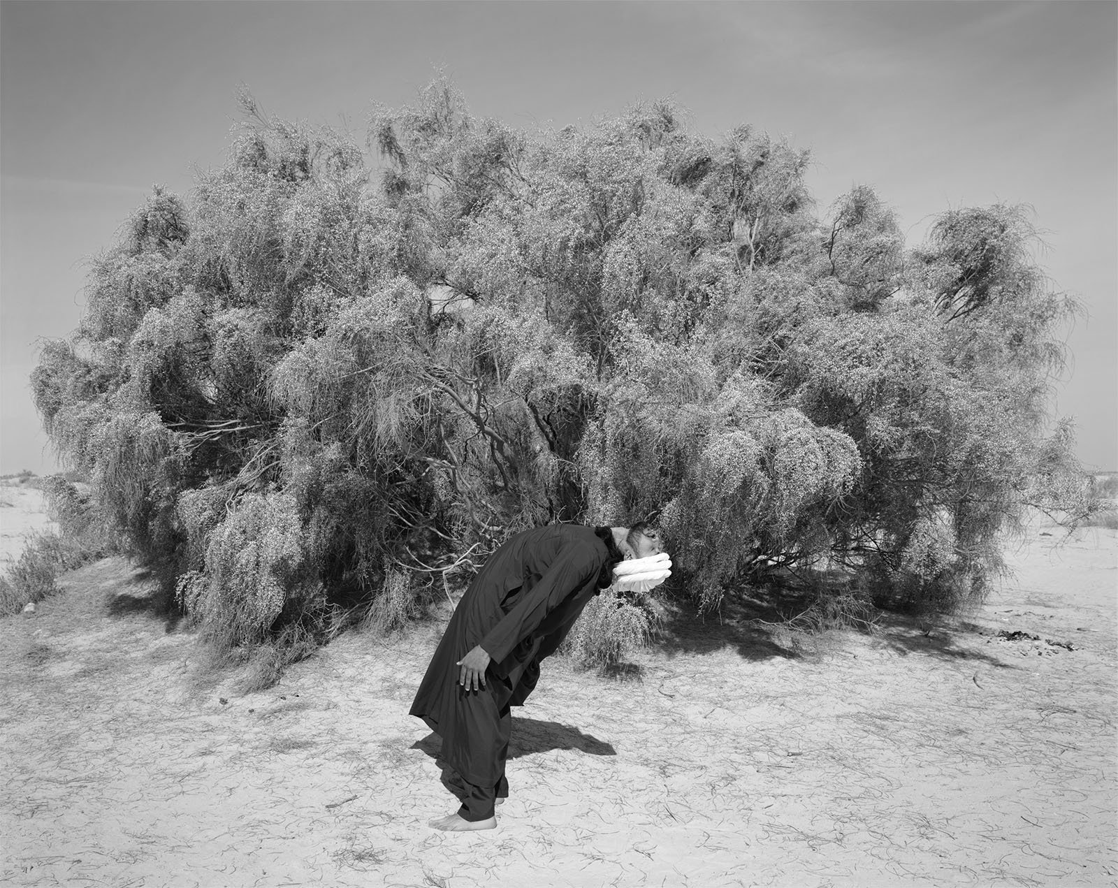 A surreal black and white photograph depicting a person in a long coat bending backward dramatically to merge with a large, dense bush in a barren landscape.