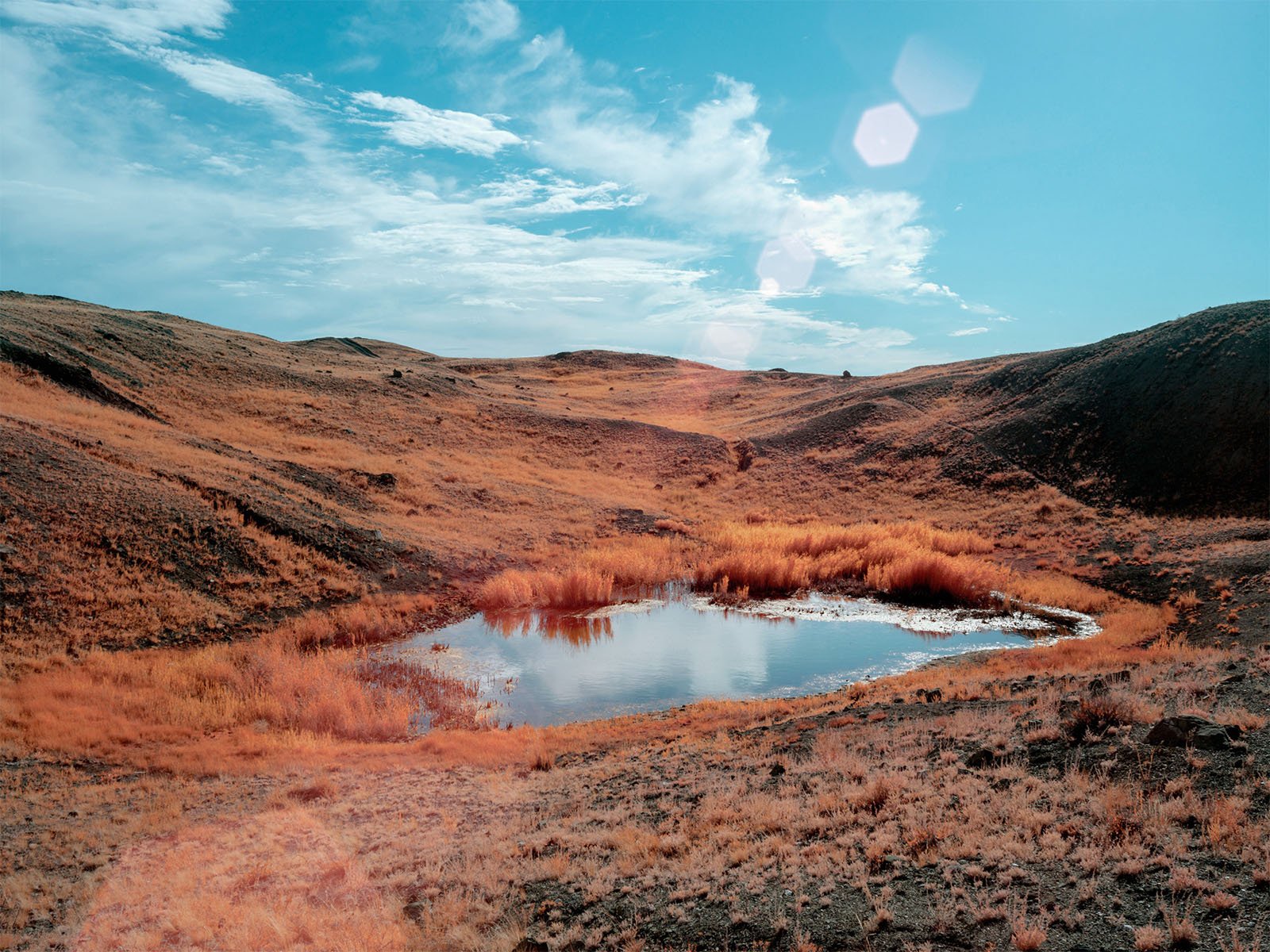 A serene landscape featuring a small pond surrounded by rolling hills covered in vibrant orange grass under a bright blue sky with sun flares.