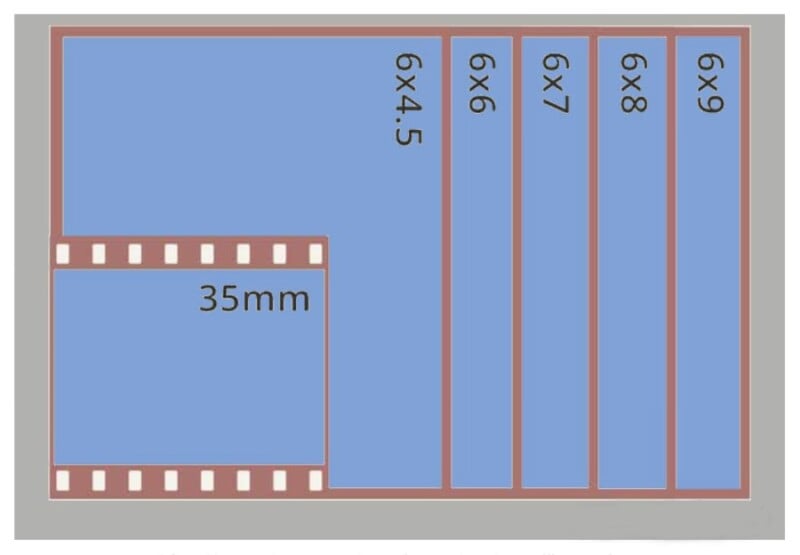 Illustration of film formats compared on a beige background. includes a 35mm format and four medium format sizes (6x4.5, 6x6, 6x7, 6x8) drawn in blue with dimensions labeled.