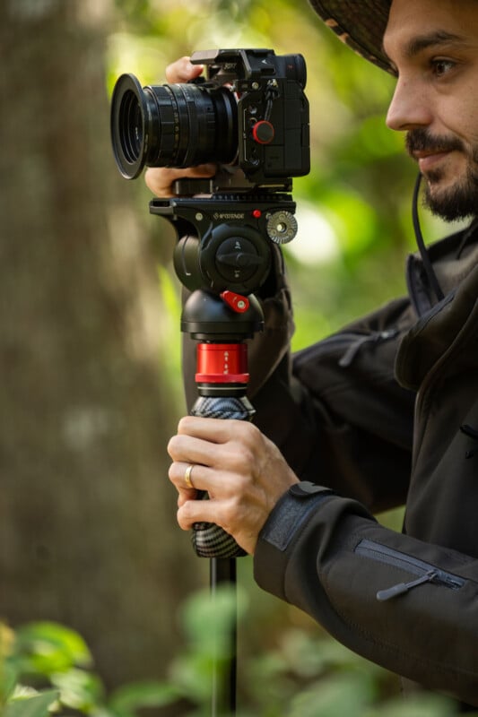 A photographer holding a professional camera mounted on a red and black monopod, focusing intently on capturing a shot, surrounded by lush greenery.