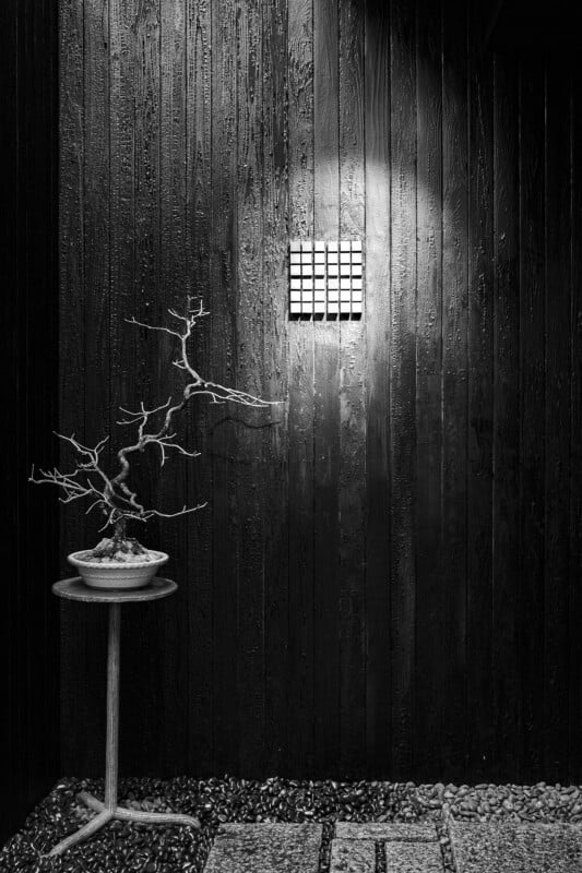 A monochrome image showing a small, leafless tree in a pot beside a gravel path, placed against a dark wooden wall with a small square window emitting light.