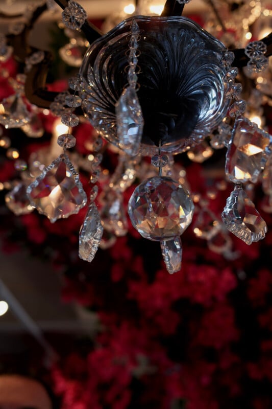 An ornate chandelier with crystal pendants hangs in focus, while vibrant red flowers softly blur in the background.