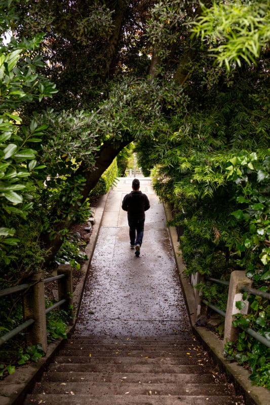 A person walking down a tranquil, tree-lined pathway with steps, surrounded by lush greenery.
