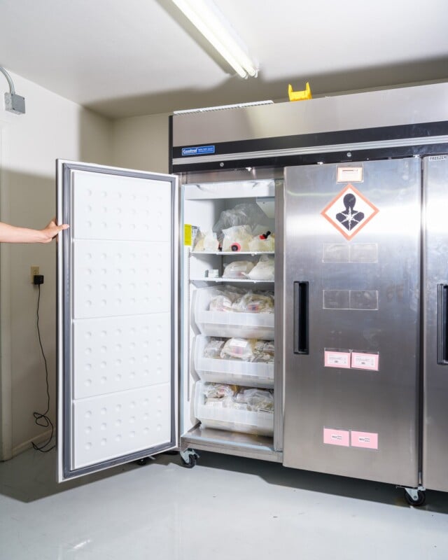 A person opens a large industrial refrigerator stocked with carefully labeled biomedical samples in a laboratory. the refrigerator has biohazard safety symbols on it.