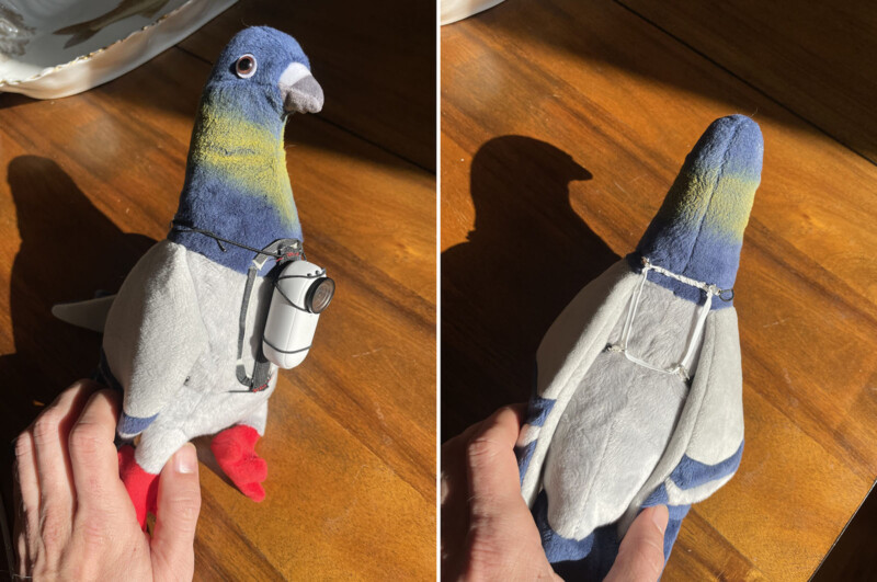 Pigeon camera harness on a toy