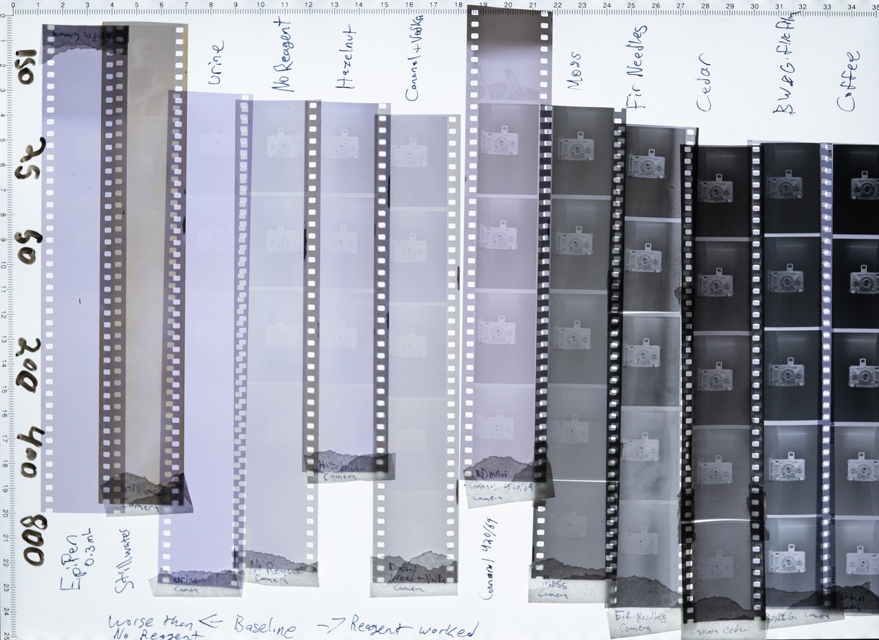 A collection of film negatives labeled with different fonts, arranged horizontally, displayed with a ruler for scale. each strip features text and small images illustrating the font's design.
