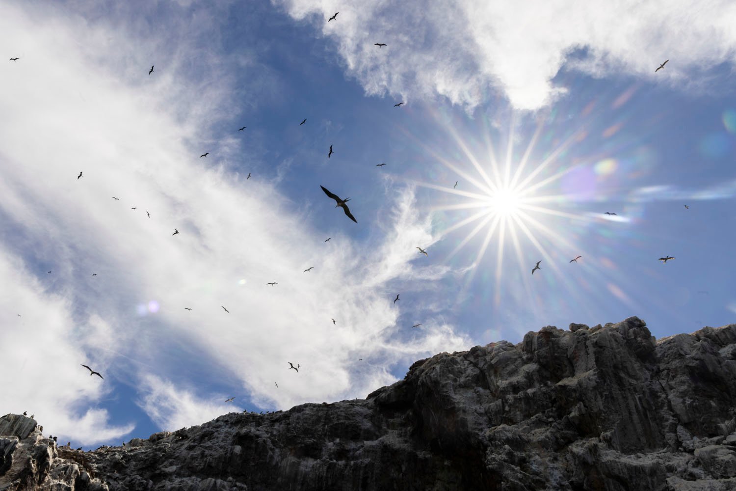 Birds flying over rocky cliffs under a bright sun with dazzling rays and a partly cloudy sky.