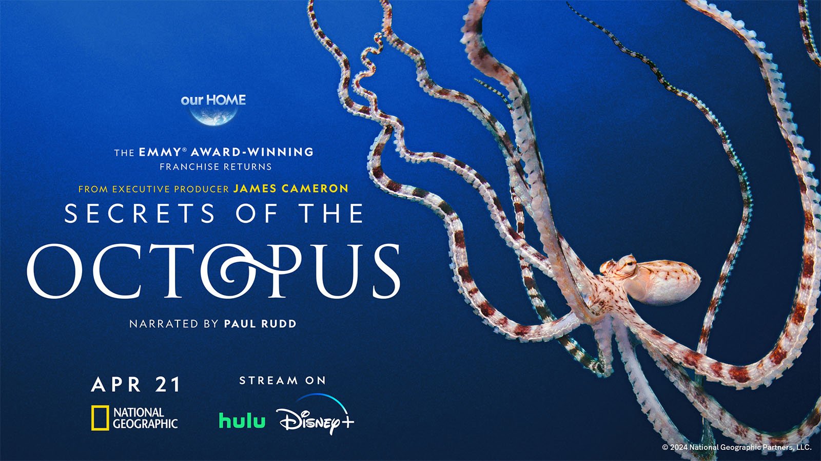 Promotional poster for the documentary "secrets of the octopus" by james cameron, featuring an octopus in deep blue water. text includes release details and streaming on hulu and disney+.