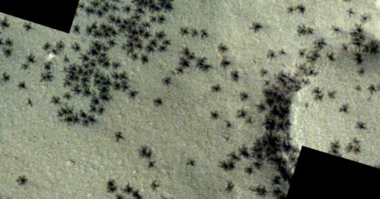 Microscopic view showing numerous black dots scattered unevenly on a textured grey background, with a noticeable stitching of images creating a fragmented edge.