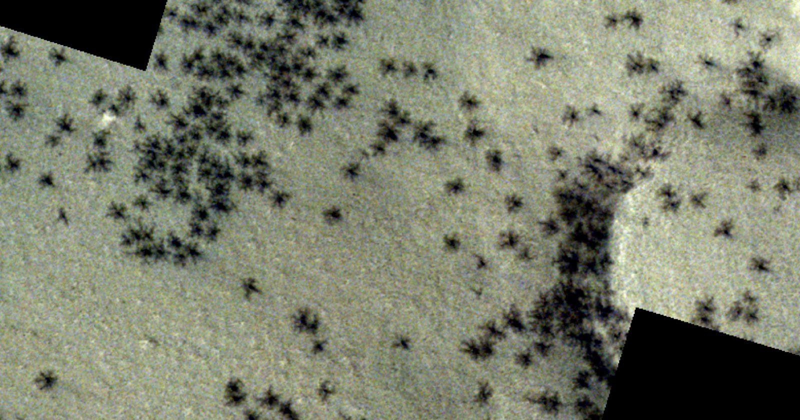 تظهر صورة الأقمار الصناعية جيشا من “العناكب السوداء” على سطح المريخ