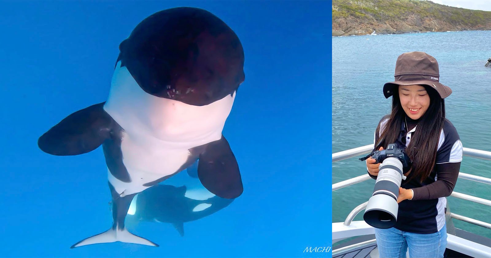 Split image with a close-up of a killer whale underwater on the left and a smiling woman with a camera on a boat on the right, with a coastal background.
