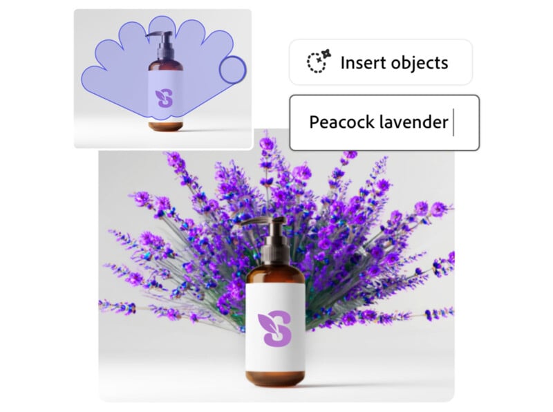 a lavender body lotion bottle against a purple background, many pieces of lavender plant sticking out from each side. A text window says 'Peacock lavender.' The bottle of lotion looks like a peacock's body and the lavender pieces are the feathers. 