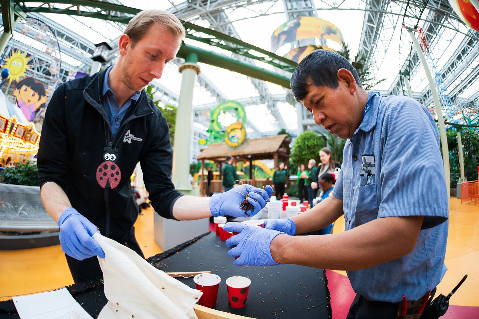 Two men wearing gloves work at a table, handling small objects and bags amidst a colorful amusement park setting, with garden-like decorations and overhead structures.