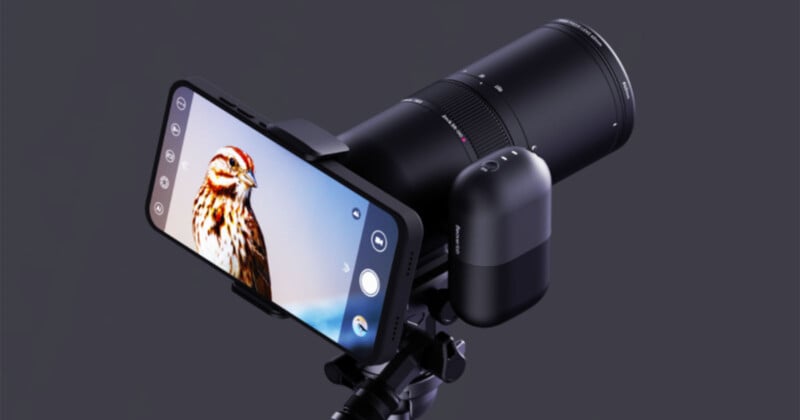 A camera lens attached to a smartphone displaying a close-up photo of a bird, set up on a gray background.