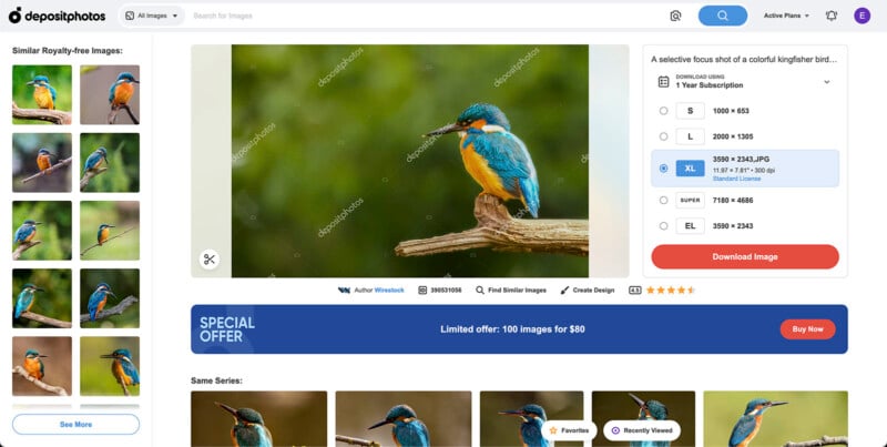 A vibrant kingfisher bird perched on a branch, displaying bright blue and orange feathers against a softly blurred green background. the image is on a stock photo website with purchasing options visible.