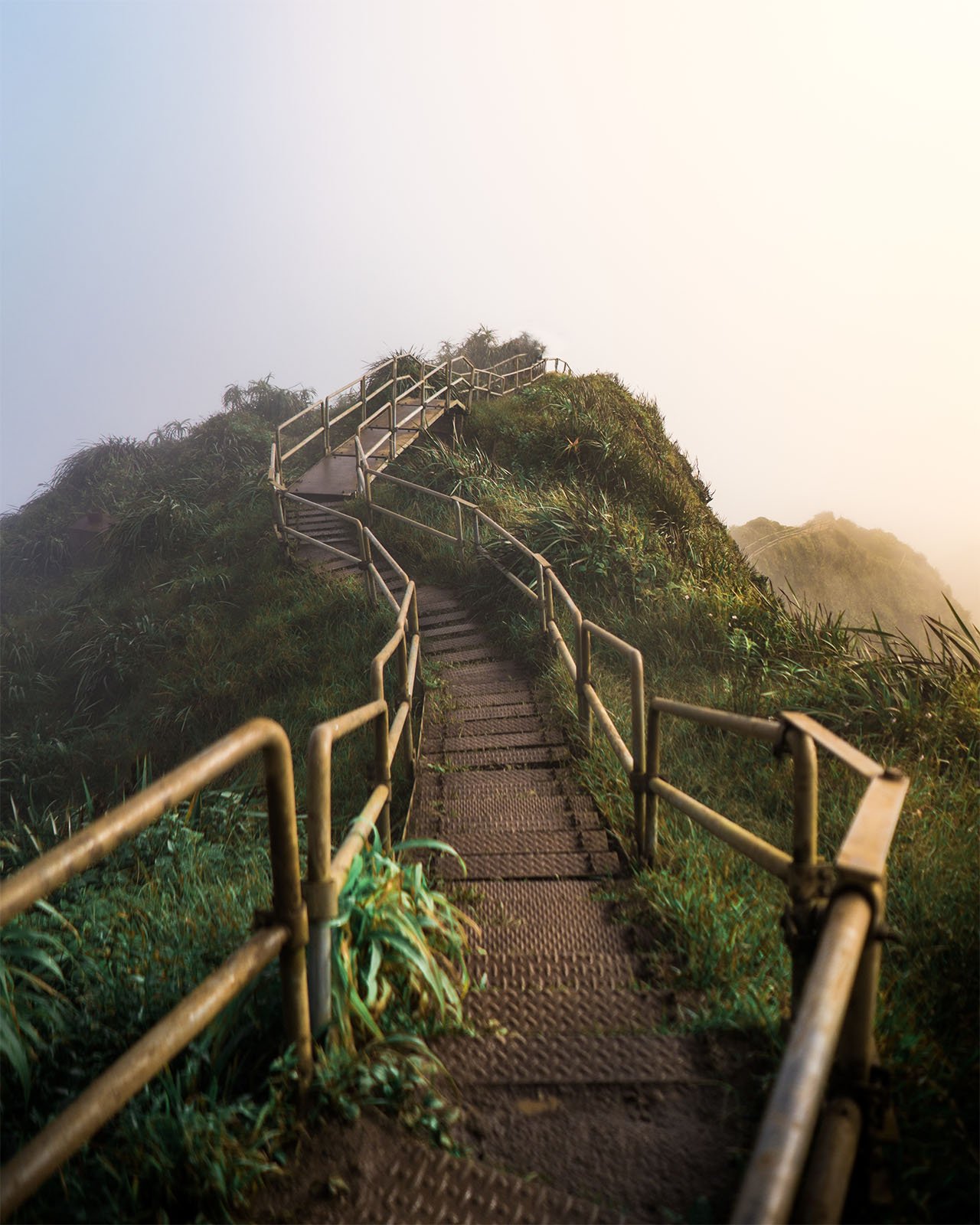 A misty mountain path with a wooden railing leads up a lush, green hillside into a foggy, sunlit horizon.