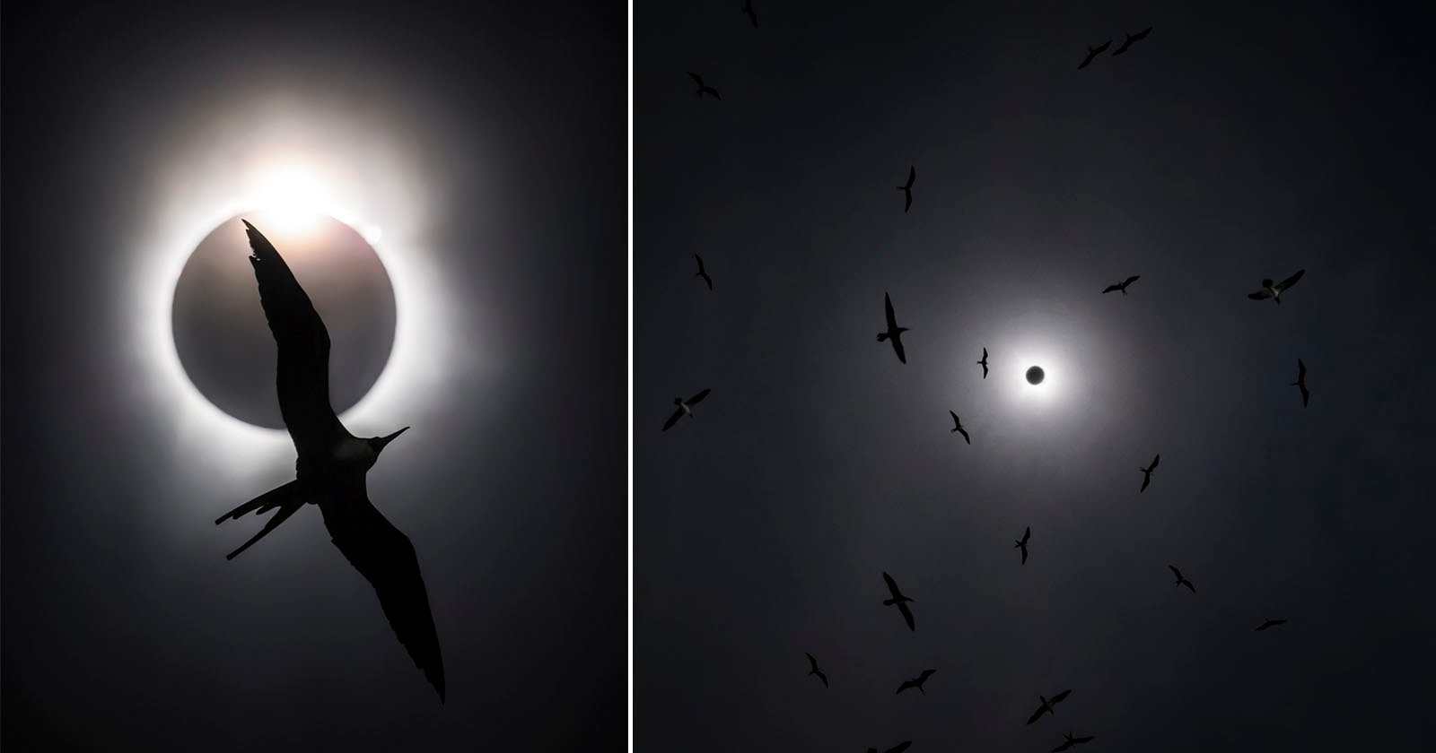 Cómo un fotógrafo capturó una increíble foto de un eclipse solar