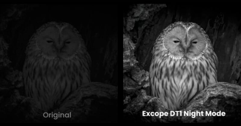 Comparison image showing an owl at night: on the left is a darker, less visible owl labeled "original," and on the right, a clearer, illuminated owl labeled "excope dti night mode.