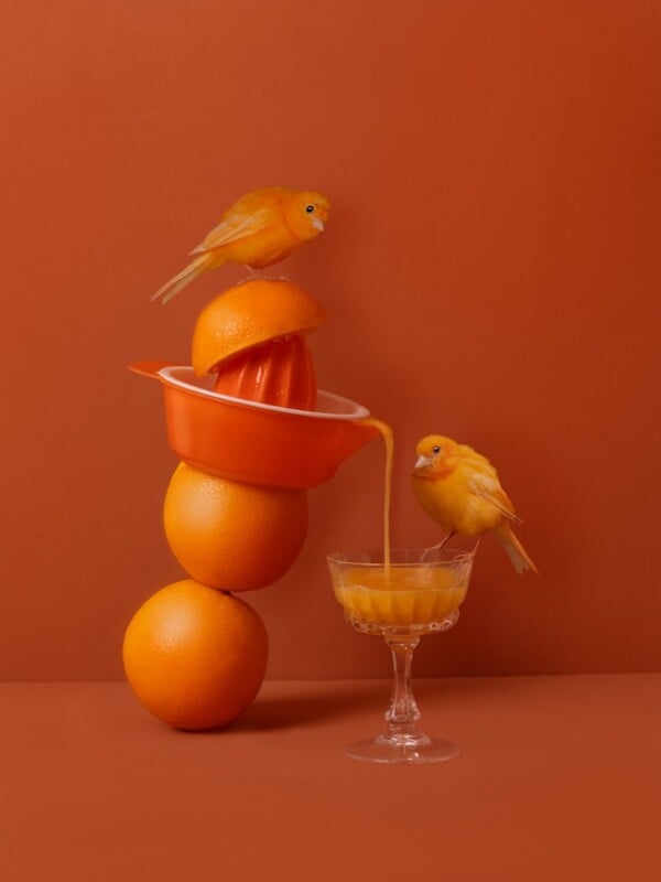 Two vibrant orange birds perched on a stack of oranges and a juicer, with one bird seeming to pour juice into a glass, all against an orange backdrop.