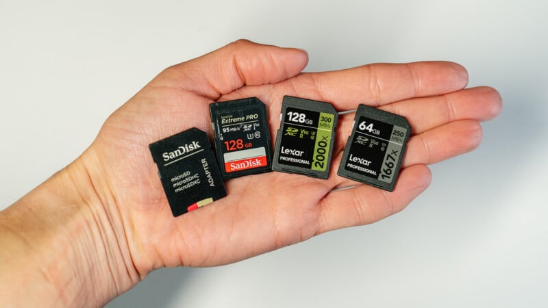 Four memory cards are laid out on a hand above a white table. 