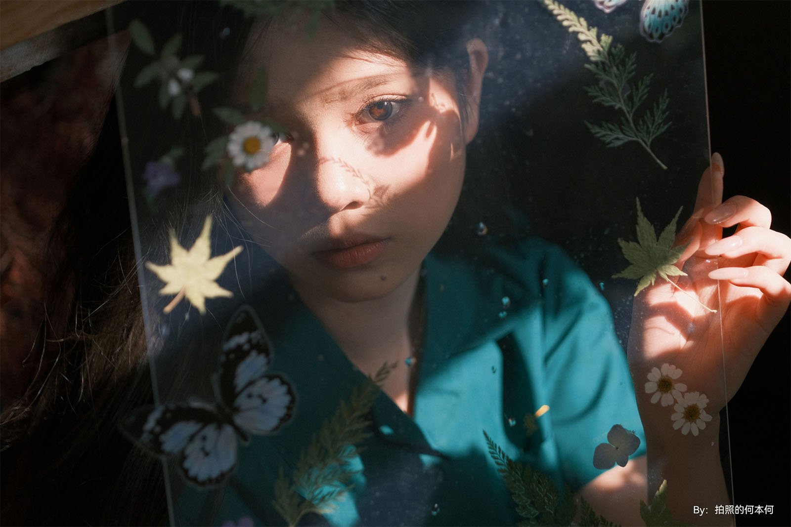 A young woman in a teal blouse, viewed through a glass pane adorned with illustrations of butterflies and flowers, illuminated by a shaft of sunlight.