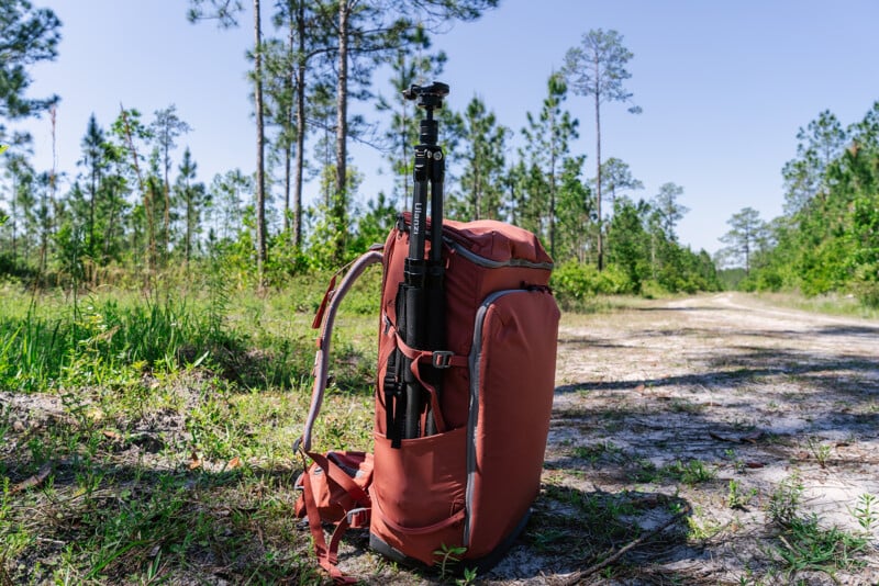 A red backpack and a camera tripod standing upright beside it, placed on the grassy edge of a dirt track, with dense pine trees in the background under a clear blue sky.