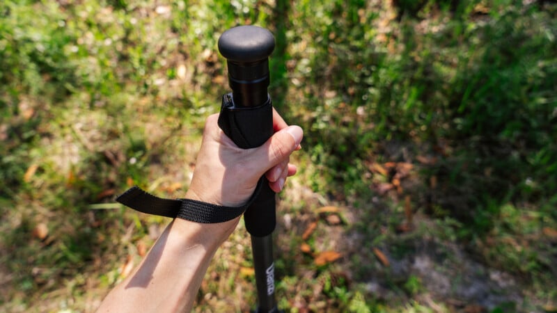 A person's hand gripping a black trekking pole with a wrist strap, set against a background of sunlit green foliage.