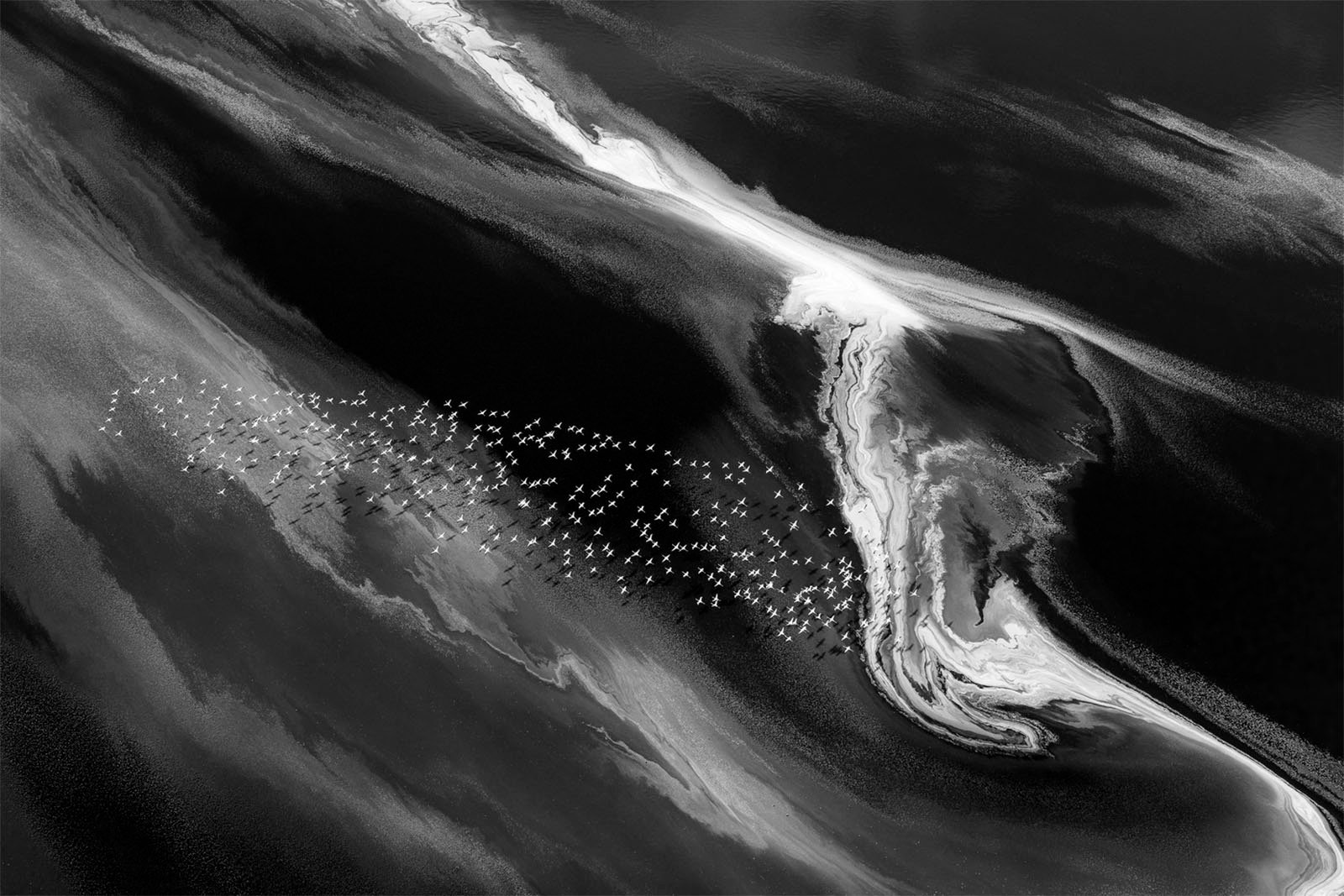 A black and white aerial image of a swirling river with white birds flying over it, creating a striking contrast between the dark water and foamy currents. The scene appears abstract due to the patterns formed by the water and light.