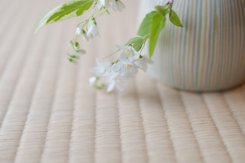 A delicate sprig of white flowers with green leaves extends from a muted, striped vase, which is placed on a woven, beige mat, creating a serene and minimalist composition.