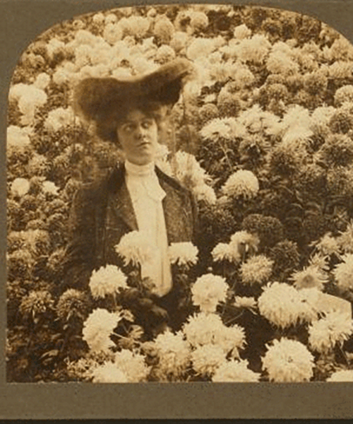A vintage photograph of a woman in a large hat standing among large white flowers, looking directly at the camera with a slight frown.
