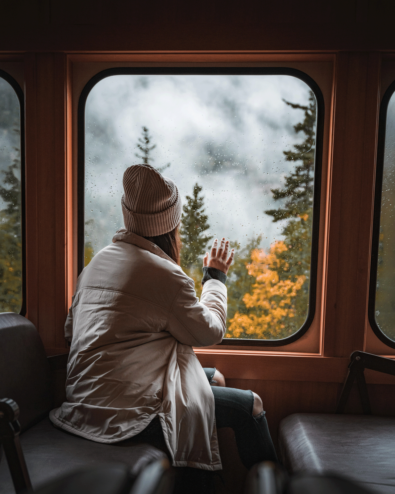 A person wearing a beanie and a jacket sits on a train, looking out of the window at a foggy, forested landscape with autumn foliage. They have their hand resting on the window, with raindrops visible on the glass.