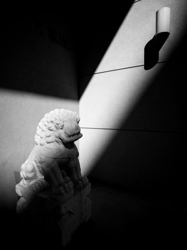 A black and white image displaying a stone lion sculpture casting a stark shadow under a bright light in a dark environment, emphasizing dramatic contrasts.